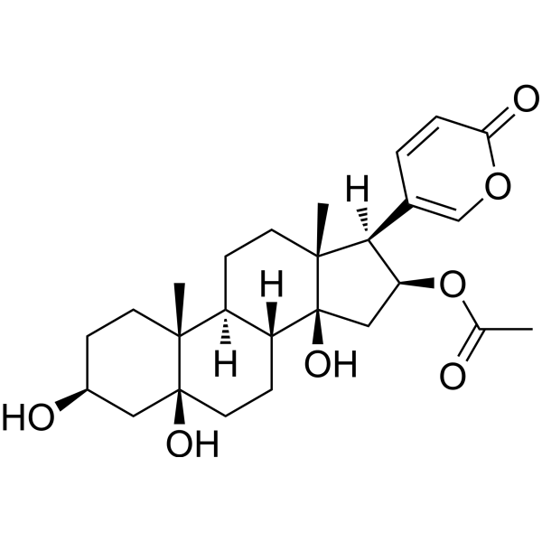 5β-Hydroxybufotalin 74531-99-0